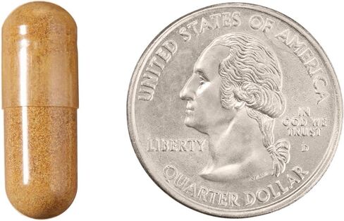 Amazon Brand - Revly Trans-Resveratrol، 250 مجم، 60 كبسولة، كمية تكفي لمدة شهرين، نباتي in Kuwait