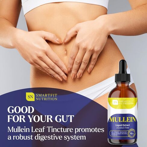 Mullein - Mullein Leaf Extract - Lung Cleanse - Mullein Drops - Organic Mullein Supplement for Respiratory System Support & Healthy Mucous Membranes - Verbascum Densiflorum for Quit Smoking Aid - 2 oz in Saudi Arabia