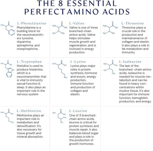 BodyHealth PerfectAmino Powder Lemon Lime (60 حصة) أفضل مشروب للتعافي قبل/بعد التمرين، 8 أحماض أمينية أساسية مكملة للطاقة مع 50% BCAAs، 100% عضوي، 99% استخدام in Kuwait