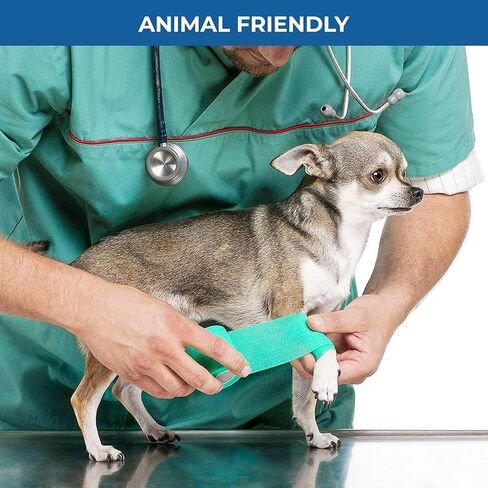 غلاف ضمادة ذاتية اللصق من BANDVET WRAP - عبوة من 12 لونًا متنوعًا، غلاف بيطري غير منسوج، مسامي ومقاوم للماء للإسعافات الأولية، والإصابات الرياضية، والالتواء في الجسم، والحيوانات الأليفة (2 بوصة متعدد الألوان - 12 عبوة) in Kuwait