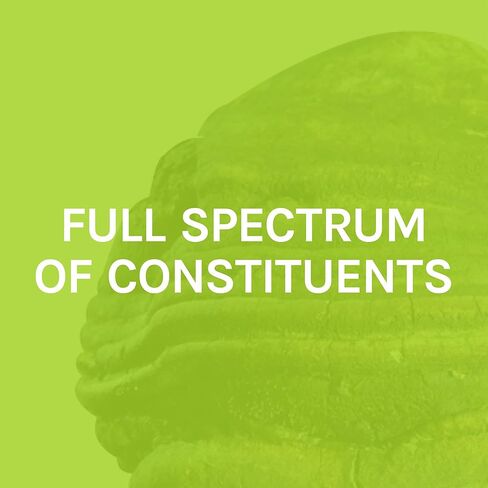 Host Defense, كبسولات Agarikon، دعم مناعة متوازن، مكمل غذائي بالفطر، 60 كبسولة، بدون نكهة in Kuwait