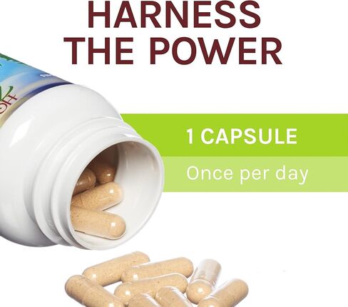 Host Defense, كبسولات Agarikon، دعم مناعة متوازن، مكمل غذائي بالفطر، 60 كبسولة، بدون نكهة in Kuwait