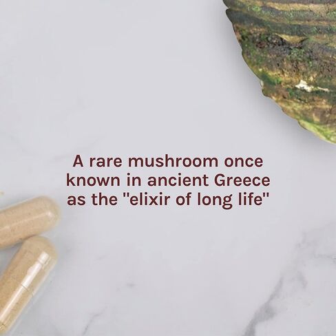 Host Defense, كبسولات Agarikon، دعم مناعة متوازن، مكمل غذائي بالفطر، 60 كبسولة، بدون نكهة in Kuwait