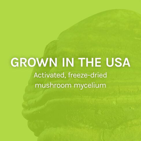 Host Defense, كبسولات Agarikon، دعم مناعة متوازن، مكمل غذائي بالفطر، 60 كبسولة، بدون نكهة in Kuwait