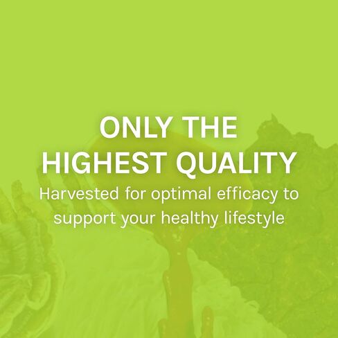 Host Defense, كبسولات Agarikon، دعم مناعة متوازن، مكمل غذائي بالفطر، 60 كبسولة، بدون نكهة in Kuwait