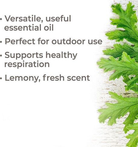 Plant Therapy Citronella Organic Essential Oil 100% Pure, USDA Certified Organic, Undiluted, Natural Aromatherapy, Therapeutic Grade 10 mL (1/3 oz) in Kuwait
