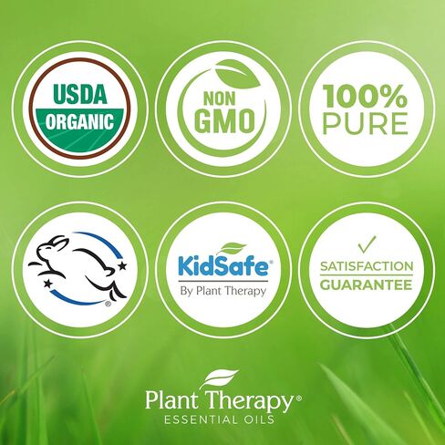 Plant Therapy Citronella Organic Essential Oil 100% Pure, USDA Certified Organic, Undiluted, Natural Aromatherapy, Therapeutic Grade 10 mL (1/3 oz) in Kuwait