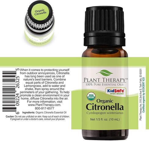 Plant Therapy Citronella Organic Essential Oil 100% Pure, USDA Certified Organic, Undiluted, Natural Aromatherapy, Therapeutic Grade 10 mL (1/3 oz) in Kuwait