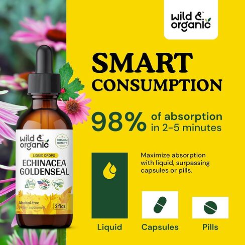 Echinacea Goldenseal Drops - Organic Echinacea Goldenseal Root Liquid Extract - Herbal Supplement - Vegan, Alcohol Free Tincture - 2 fl oz in Kuwait