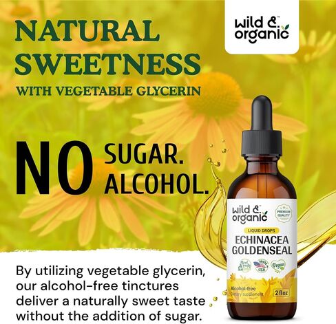 Echinacea Goldenseal Drops - Organic Echinacea Goldenseal Root Liquid Extract - Herbal Supplement - Vegan, Alcohol Free Tincture - 2 fl oz in Kuwait