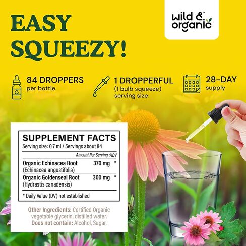 Echinacea Goldenseal Drops - Organic Echinacea Goldenseal Root Liquid Extract - Herbal Supplement - Vegan, Alcohol Free Tincture - 2 fl oz in Kuwait