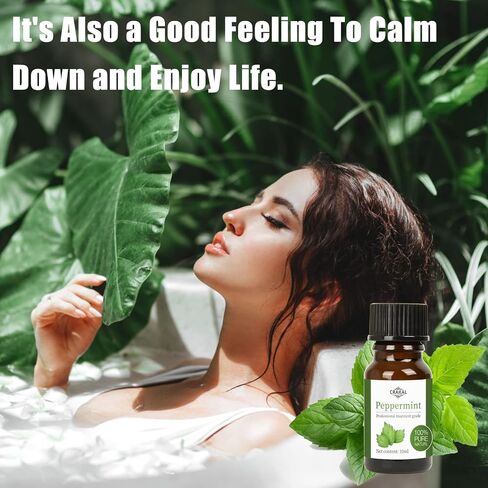 Organic Essential Oil Set, 20 scents, 10ml per Bottle, for All Needs. in Saudi Arabia