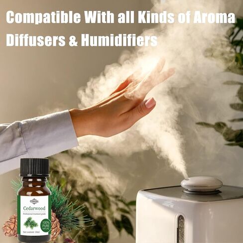 Organic Essential Oil Set, 20 scents, 10ml per Bottle, for All Needs. in Saudi Arabia