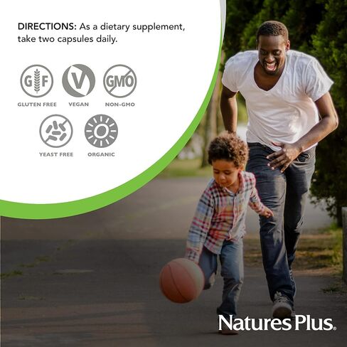 NaturesPlus Source of Life Garden Certified Organic B Complex - 60 Vegan Capsules - Complete Vitamin B Supplement, Energy Booster - Vegetarian, Gluten-Free - 30 Servings in Saudi Arabia