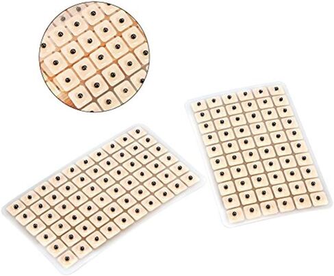 الوخز بالإبر الأذن ضغط بذور 600 قطعة الاسترخاء التدليك مسبار الإبر الأذن فاكاريا الفاصوليا الأيوري المعقود ضغط الأذن ملصقات in Kuwait