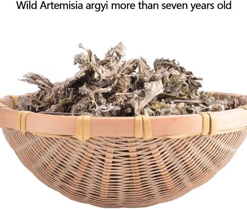 60:1 سبعة سنوات من لفات ورق موكسا ستيك مخروط من موكسيا ستيك 54 لأوضاع موكسيباستون + 3 في 1 حقيبة محمولة تصفية الدخان + 3 صناديق موكسيبيستان من الفولاذ المقاوم للصدأ + 1 خريطة أكوان إنجليزية in Kuwait