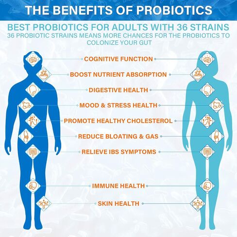 Raw Probiotics for Women & Men - 100 Billion CFU, 35 Strains, Organic Prebiotics & Natural Digestive Enzymes for Digestive, Gut & Immune Health - Dairy, Soy and Gluten Free, Non-GMO, 60 Vegan Capsules in Saudi Arabia