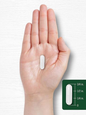 Carlyle Plant Sterols 1200 mg | 240 Ultra Potent Capsules | Non-GMO and Gluten Free Supplement | with Beta Sitosterol in Saudi Arabia
