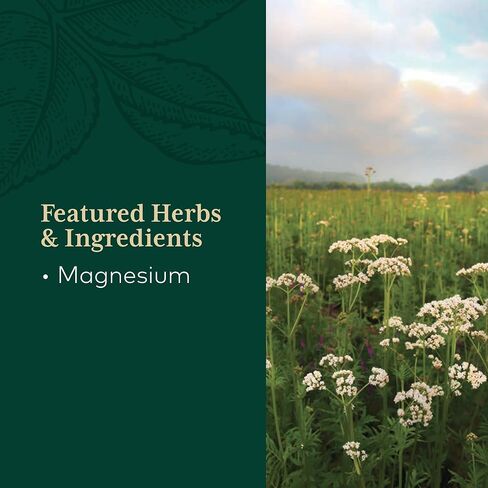 Gaia PRO Magnesium Glycinate 400 - دعم النوم وتخفيف التوتر - دعم العصبية - مع المغنيسيوم - 180 كبسولة (60 حصة) in Saudi Arabia