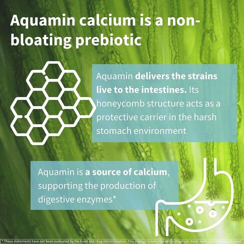 Live Cultures+ Lab4 Probiotics & Prebiotic, Vegan Lactobacillus Acidophilus & Bifidobacterium, Guaranteed 25 Billion CFU, Non-Bloating Gut Health Support for Men & Women, 30 Capsules, by Igennus in Saudi Arabia