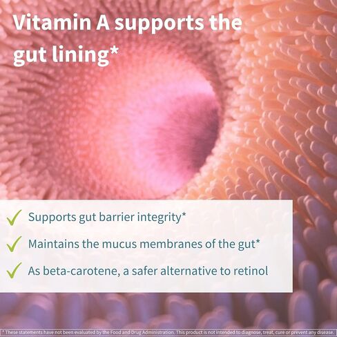 Live Cultures+ Lab4 Probiotics & Prebiotic, Vegan Lactobacillus Acidophilus & Bifidobacterium, Guaranteed 25 Billion CFU, Non-Bloating Gut Health Support for Men & Women, 30 Capsules, by Igennus in Saudi Arabia