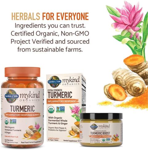 Garden of Life mykind Organics Golden Milk Recovery & Nourishment Powder - 44mg Turmeric Curcumin (95% Curcuminoids), Ashwagandha - Organic Non-GMO Vegan & Gluten Free Herbal Supplements, 30 Servings in Kuwait