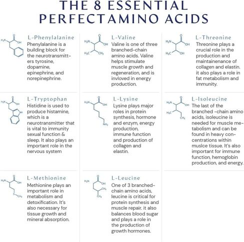 BodyHealth PerfectAmino Powder Mocha Boost (60 Servings) Best Pre/Post Workout Recovery Drink, 8 Essential Amino Acids Energy Supplement with 50% BCAAs, 100% Organic, 99% Utilization in Kuwait