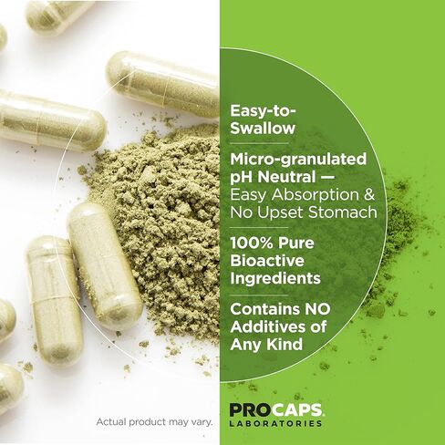 ANDREW LESSMAN Turmeric 400-240 Capsules – 95% Curcuminoids as Phospholipid Complex for Optimum Benefits and Greater Absorption, High Potency Standardized Extract, Small Easy to Swallow Capsules in Saudi Arabia