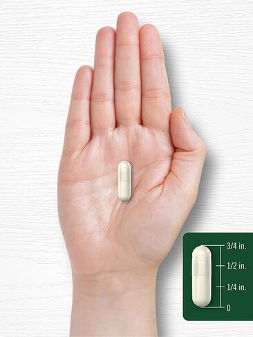 Carlyle Plant Enzymes with Protease, Papain, Lactase and Bromelain | 250 Capsules | Multi Enzyme Blend | Non-GMO & Gluten Free Supplement in Saudi Arabia