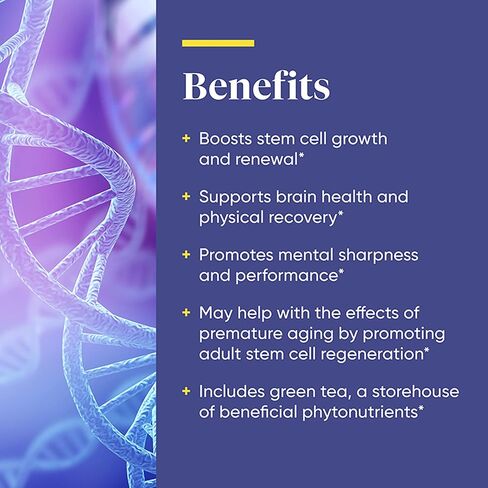 Enzymedica, Stem XCell, Enzyme and Antioxidant Support for Brain and Cellular Health, 60 Capsules in Saudi Arabia