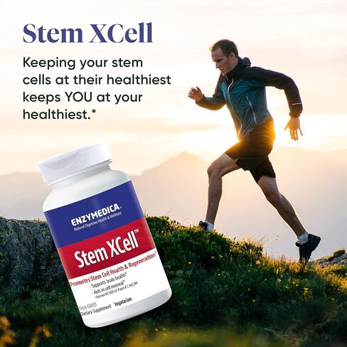 Enzymedica, Stem XCell, Enzyme and Antioxidant Support for Brain and Cellular Health, 60 Capsules in Saudi Arabia