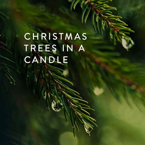 Thymes Frasier Fir Pine Needle Candle - 40 Oz in Kuwait