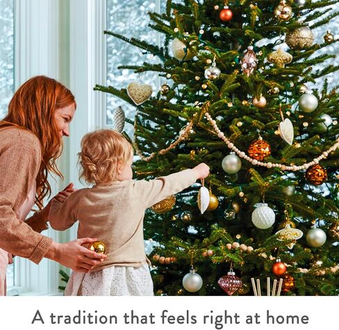 Thymes Frasier Fir Pine Needle Candle - 40 Oz in Kuwait