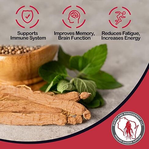 Red Panax Ginseng Root - 4 oz Pack of Korean Panax Ginseng Root - Authentic Panax Ginseng - Non-GMO, Gluten Free Ginseng Root - Ideal for Use in Soup, Tea in Kuwait