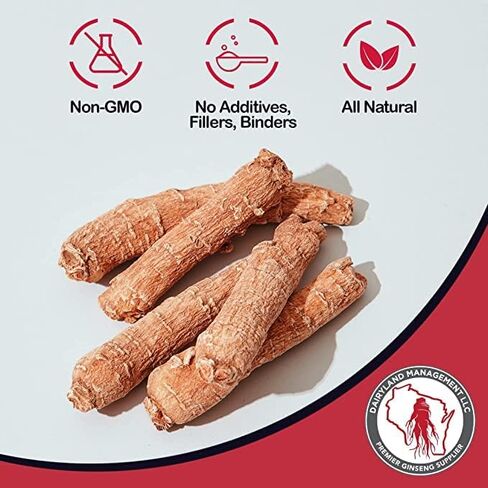 Red Panax Ginseng Root - 4 oz Pack of Korean Panax Ginseng Root - Authentic Panax Ginseng - Non-GMO, Gluten Free Ginseng Root - Ideal for Use in Soup, Tea in Kuwait