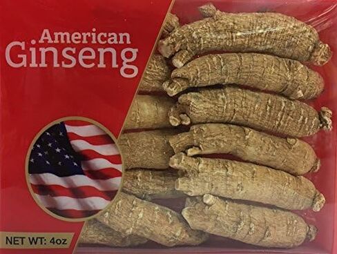 Hand Selected A Grade American Ginseng Root Large Short (4 Oz. Box) in Saudi Arabia