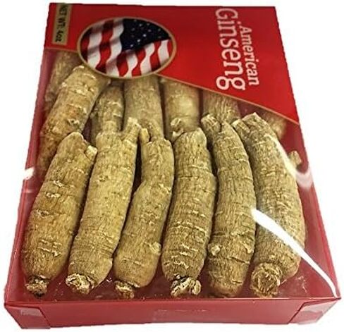 Hand Selected A Grade American Ginseng Root Large Short (4 Oz. Box) in Saudi Arabia