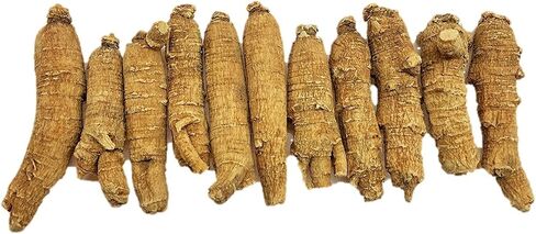 Hand Selected A Grade American Ginseng Root Large Short (4 Oz. Box) in Saudi Arabia