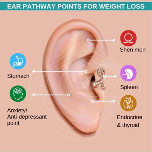 Zunis Acupressure Sli/mming أقراط، أقراط Acupressure Sli/mming، أقراط Zunis Acupressure، مشبك الأذن للنساء والرجال، أقراط الضغط الإبري غير المثقوبة لفقدان الوزن in Kuwait
