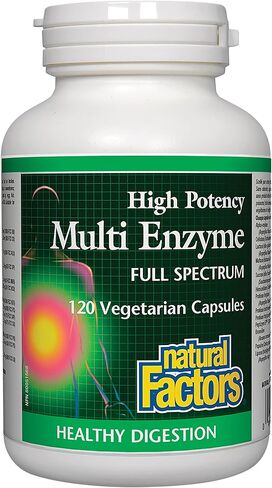 Natural Factors, High Potency Multi Enzyme Vegetarian Formula, Plant-Based Digestive Aid, 120 Capsules in Saudi Arabia