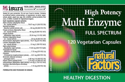 Natural Factors, High Potency Multi Enzyme Vegetarian Formula, Plant-Based Digestive Aid, 120 Capsules in Saudi Arabia