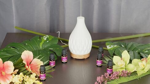 SG Essentials Ceramic Stone Ultrasonic Essential Oil Diffuser for Aromatherapy with Auto Shut-Off Function - Cool Mist Humidifier for Yoga Spa Office Bedroom Home – White in Saudi Arabia