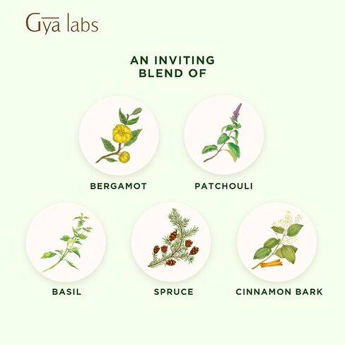 Gya Labs Fortune Essential Oil Blend (0.34 fl oz) - Uplifting & Inviting in Saudi Arabia