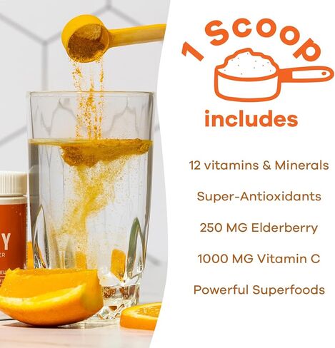 GOBIOTIX Immune Support Supplement - Immunity Defense Powder Wellness Booster - Vegan Superfood - Elderberry, Turmeric, Vitamin C Powder and B12 Vitamin Supplement, Non-GMO and Sugar Free (Orange) in Kuwait