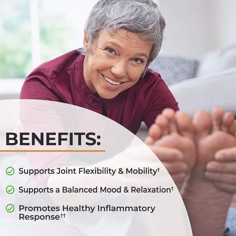 مسحوق حليب كيتو الذهبي العضوي مع اشواغاندا والكركم - للاسترخاء والتعافي - يعزز صحة المفاصل والحركة - يدعم الهضم الصحي - مزيج الأيورفيدا المهدئ مع الفانيليا in Kuwait