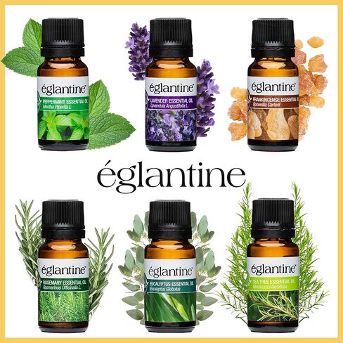 ستة زيوت عطرية فريدة من نوعها: النعناع، ​​الخزامى، الأوكالبتوس، شجرة الشاي، إكليل الجبل، اللبان - اكتشف قوة الطبيعة in Kuwait