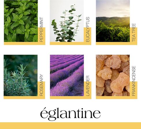 ستة زيوت عطرية فريدة من نوعها: النعناع، ​​الخزامى، الأوكالبتوس، شجرة الشاي، إكليل الجبل، اللبان - اكتشف قوة الطبيعة in Kuwait