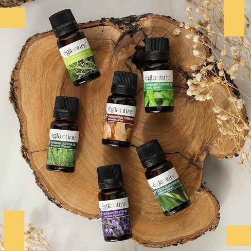 ستة زيوت عطرية فريدة من نوعها: النعناع، ​​الخزامى، الأوكالبتوس، شجرة الشاي، إكليل الجبل، اللبان - اكتشف قوة الطبيعة in Kuwait