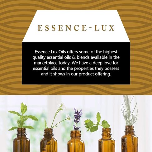 زيوت Essence-Lux 10 مل - زيت الهيليكريسوم العطري - 0.33 أونصة سائلة in Kuwait