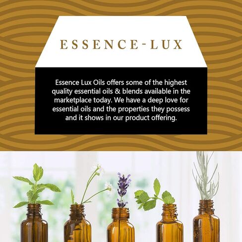 زيوت Essence-Lux 10 مل - زيت الهيليكريسوم العطري - 0.33 أونصة سائلة in Kuwait
